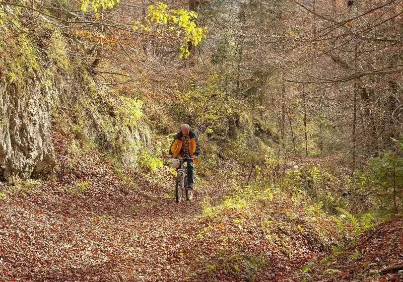 فندق Haus Wildbach