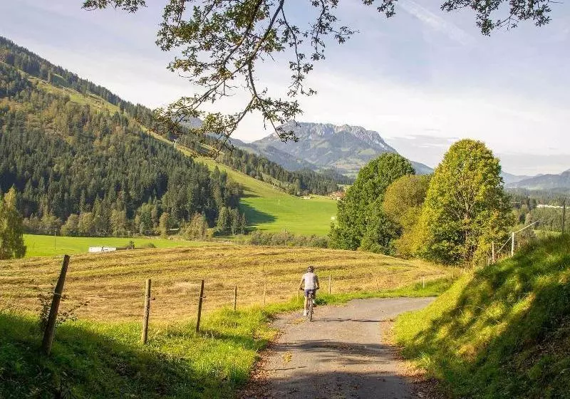 فندق Haus Wildbach