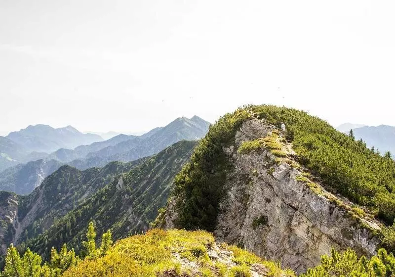 فندق Haus Wildbach