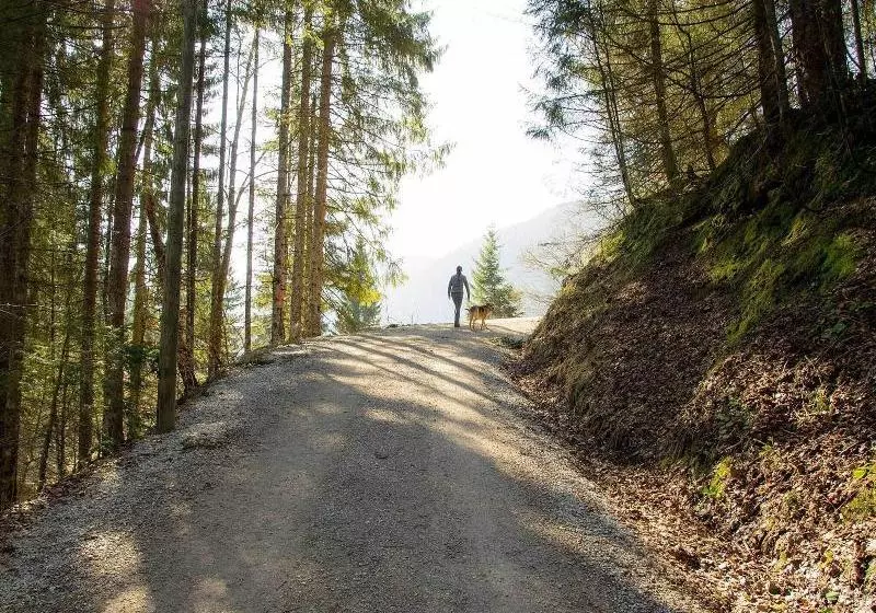 فندق Haus Wildbach