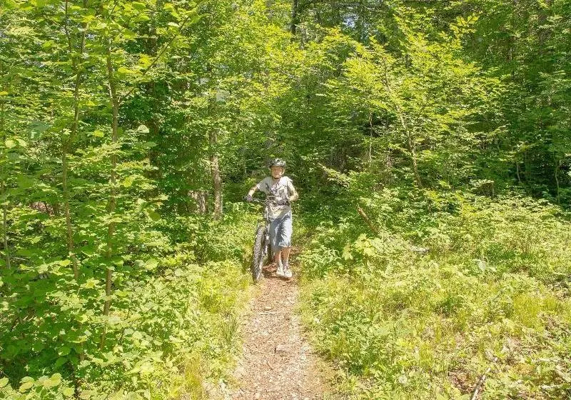 فندق Haus Wildbach