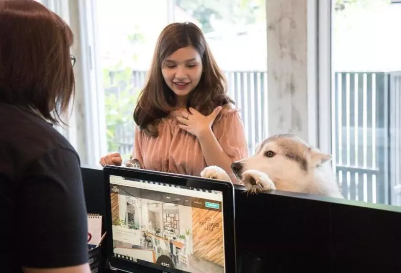 ホテル Ketawa Pet Friendly