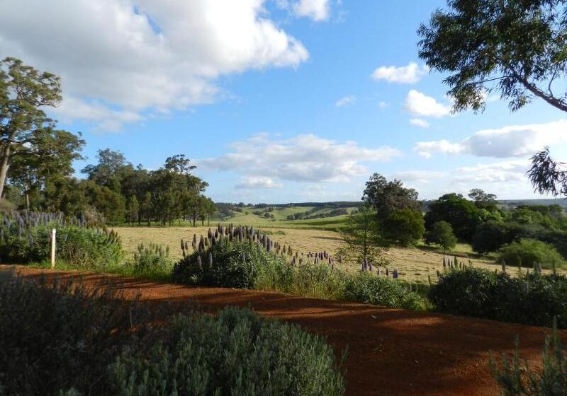 Hotel Shambhala Guesthouse