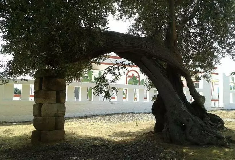 Aamiaismajoitus (B&B) Lama Cupa