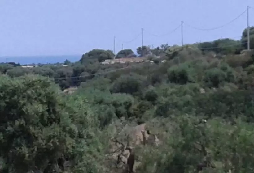 Aamiaismajoitus (B&B) Lama Cupa