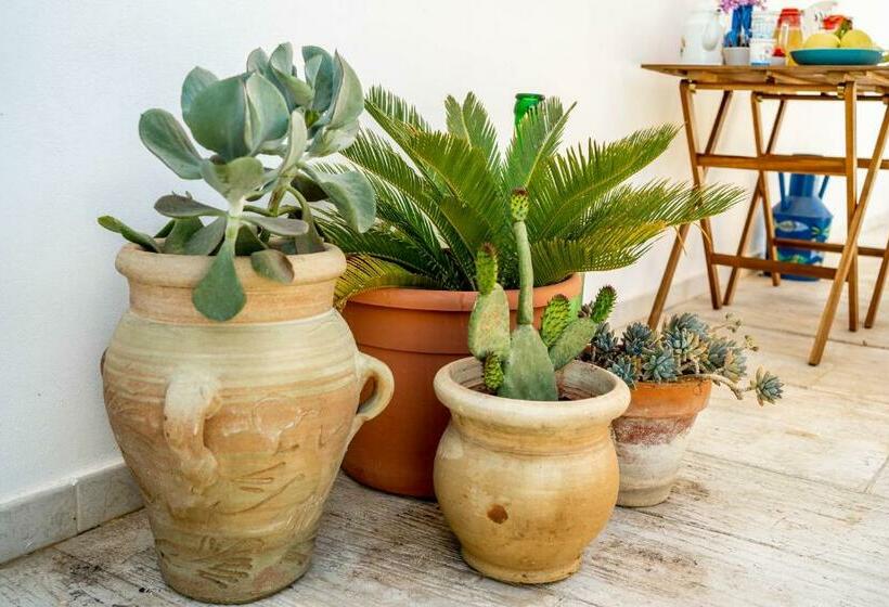 Bed and Breakfast Via Del Mare 36