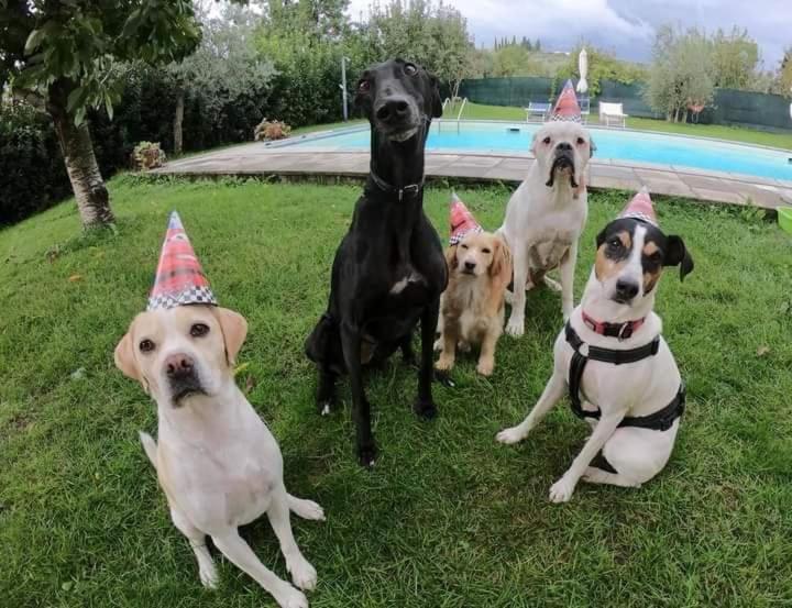 Отель Casa Galina