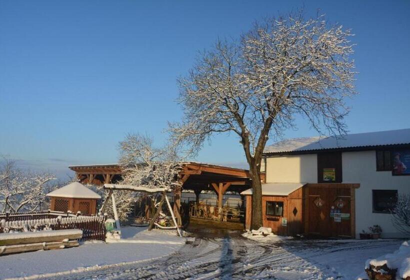 酒店 Bio Bauernhof Haunschmid