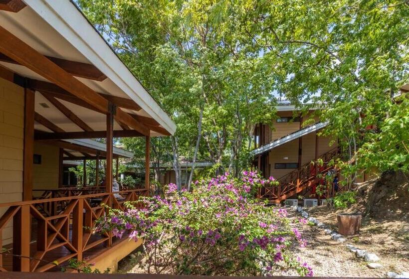 Отель Rancho Humo Estancia