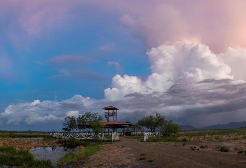 Отель Rancho Humo Estancia