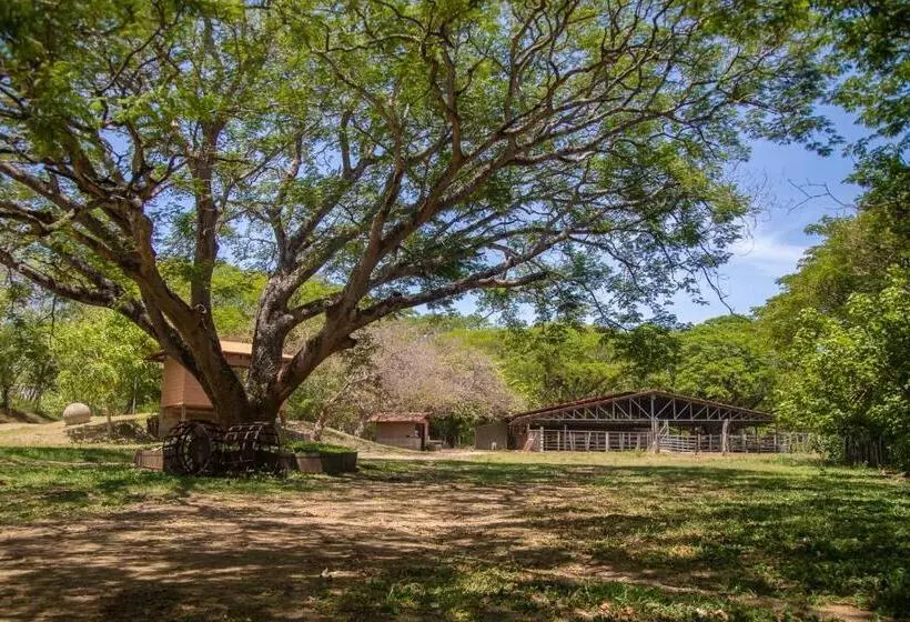 Hotelli Rancho Humo Estancia