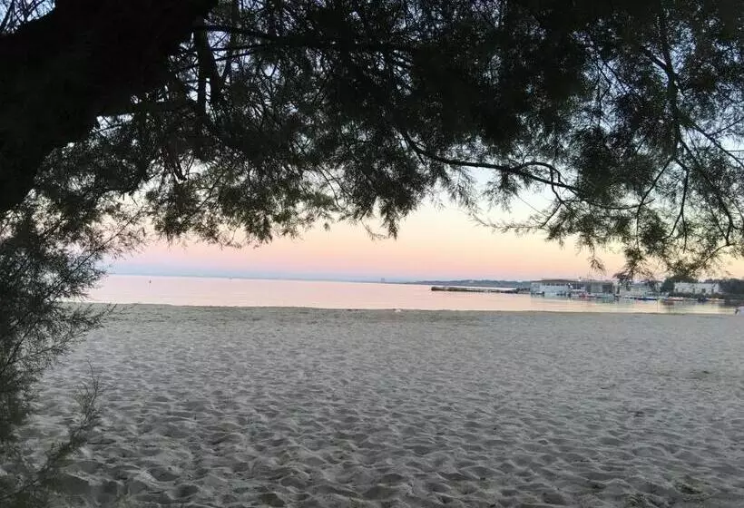Pensione Albachiara