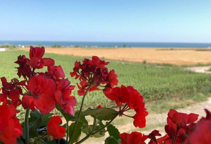 پانسیون Casa De La Corbu