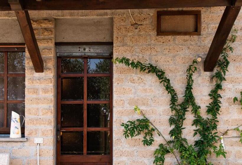 Pensjonat Orvieto Rocca Fiorita