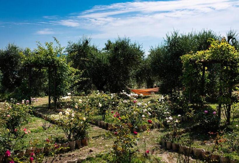 Pensjonat Orvieto Rocca Fiorita