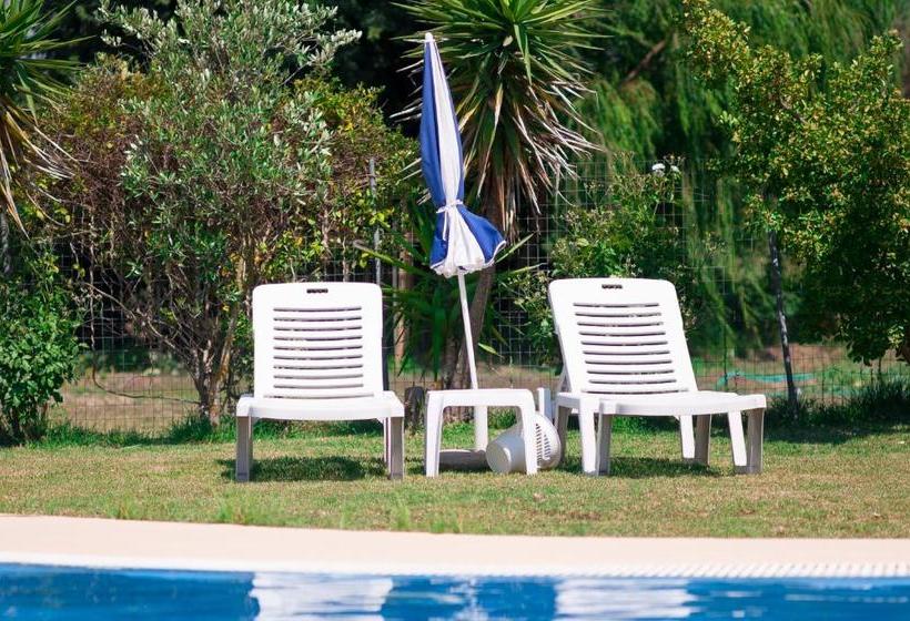 Chrysanthy Apartments