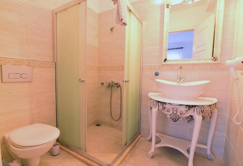 בית מלון כפרי Mor Salkım Konağı