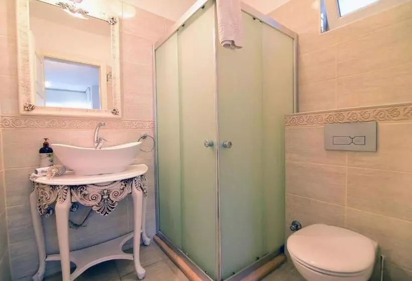 בית מלון כפרי Mor Salkım Konağı