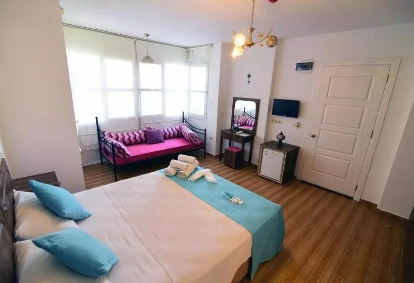 בית מלון כפרי Mor Salkım Konağı