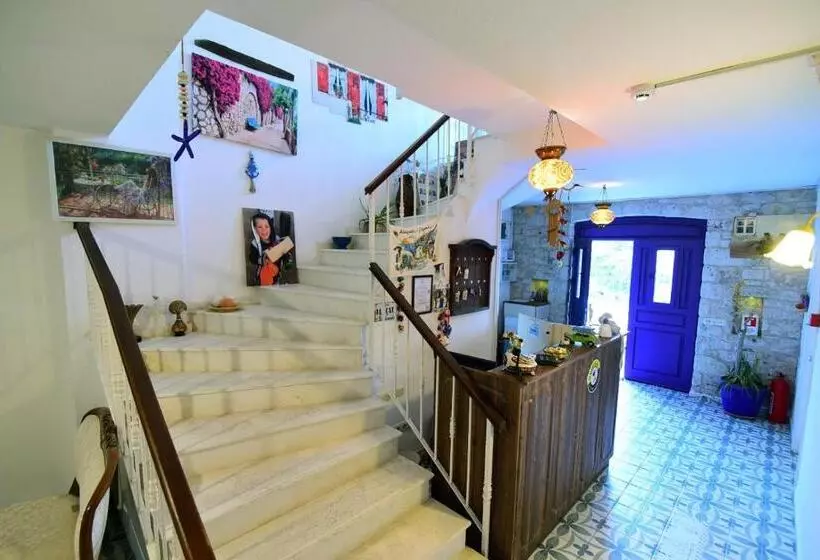 בית מלון כפרי Mor Salkım Konağı