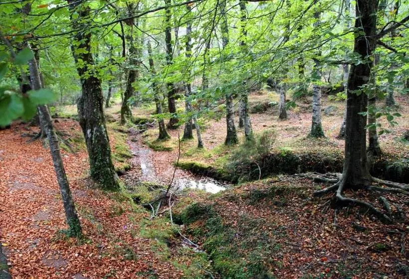 Отель Eco Salvador