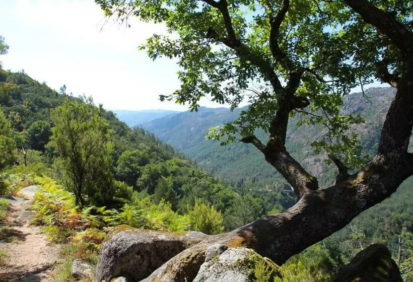 Отель Eco Salvador