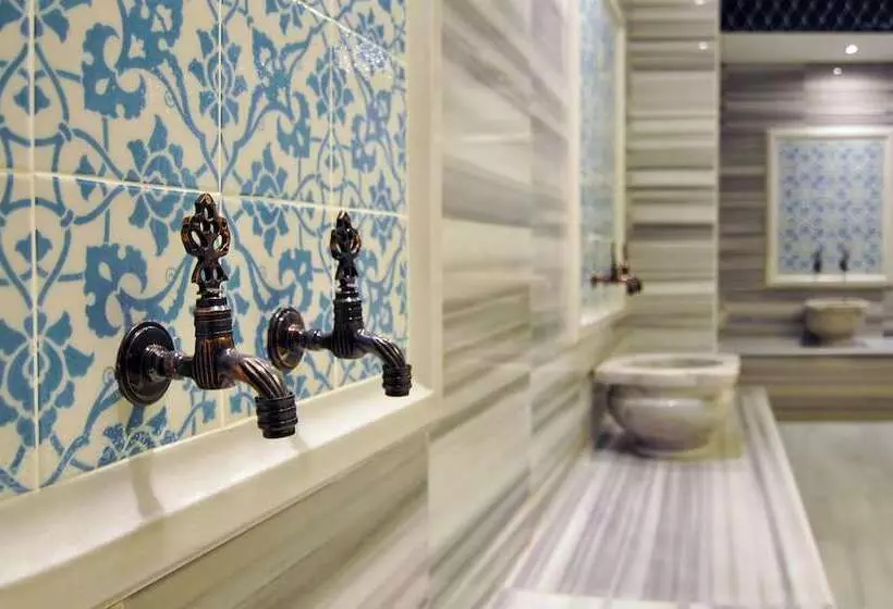 هتل Crowne Plaza Kayseri, An Ihg