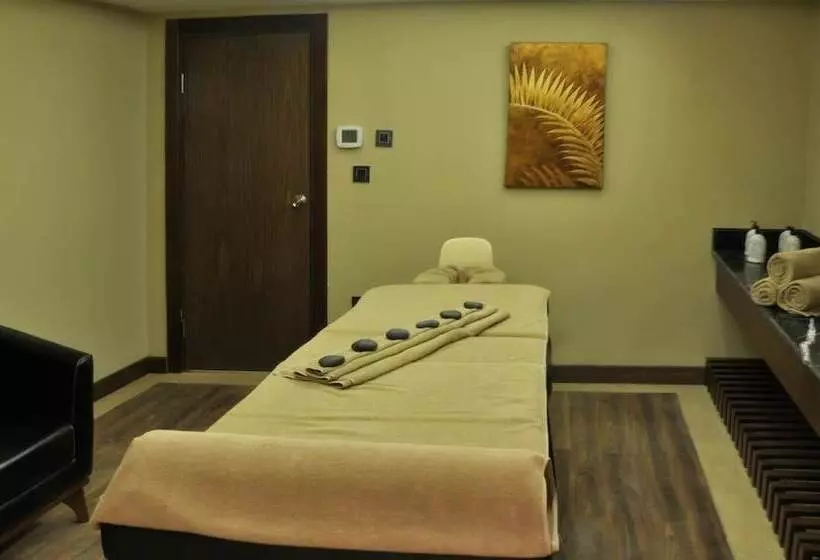 هتل Crowne Plaza Kayseri, An Ihg