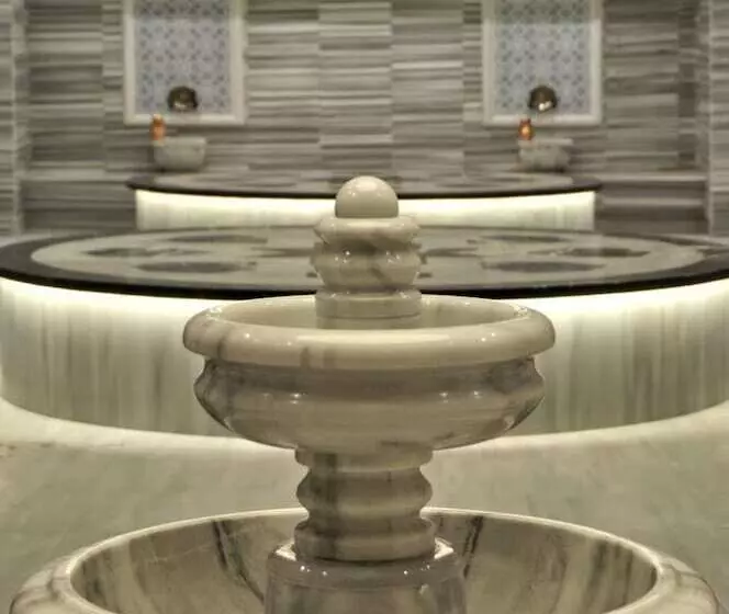 هتل Crowne Plaza Kayseri, An Ihg