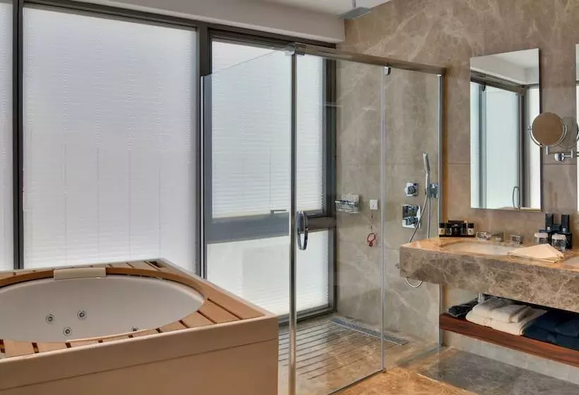 هتل Crowne Plaza Kayseri, An Ihg