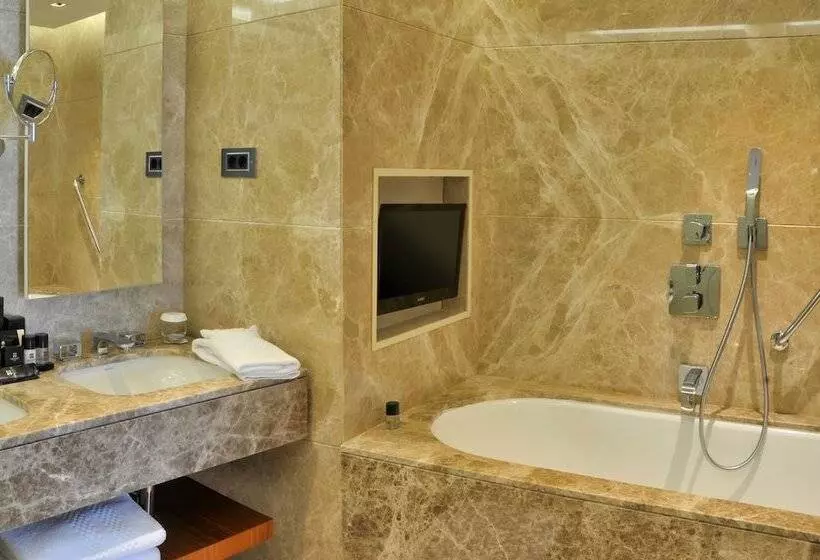 هتل Crowne Plaza Kayseri, An Ihg