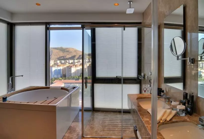 هتل Crowne Plaza Kayseri, An Ihg