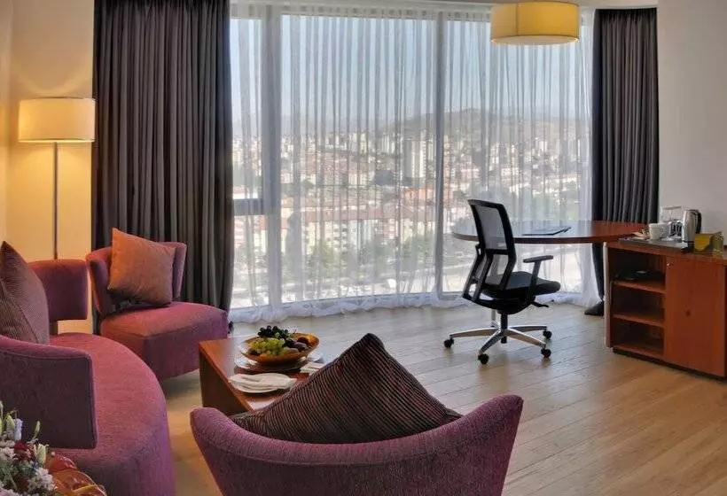 هتل Crowne Plaza Kayseri, An Ihg