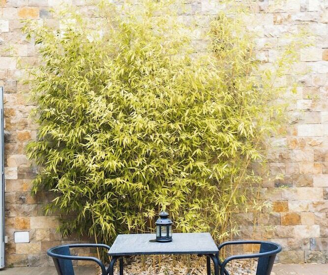 בית מלון כפרי Vila D Obidos