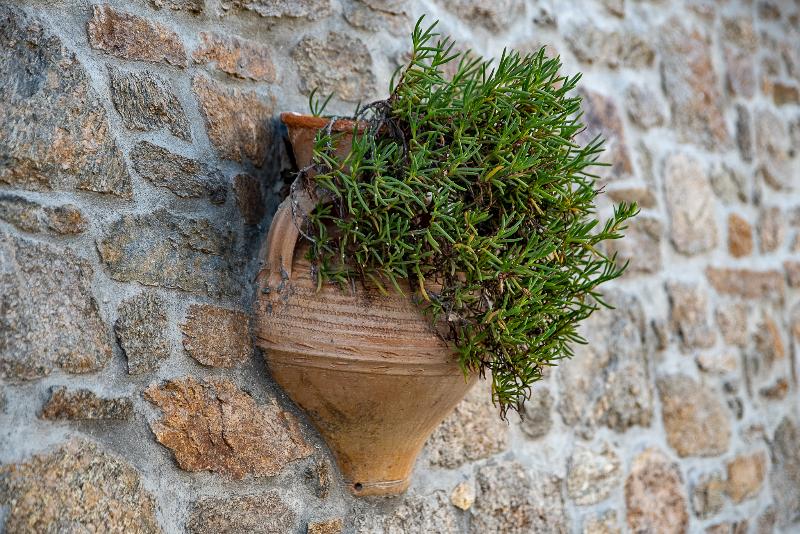 Iros Boutique Suites & Villas