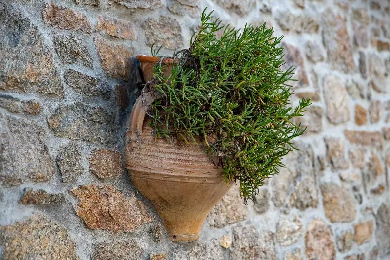 Iros Boutique Suites & Villas