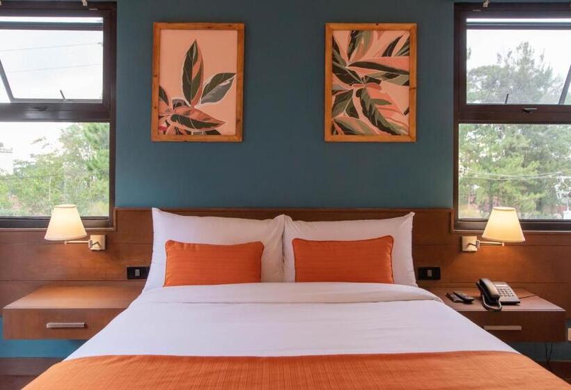 Hotell Giraffe Boutique