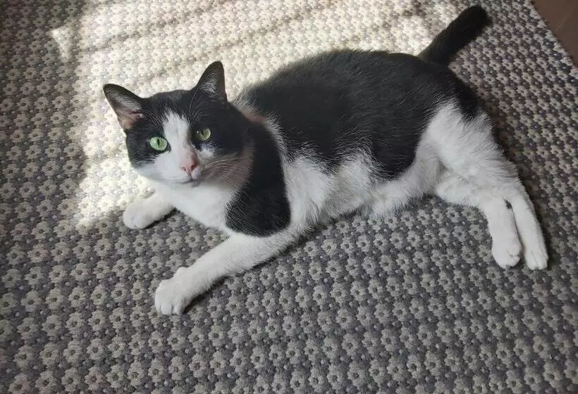 בית מלון כפרי La Passeggiata