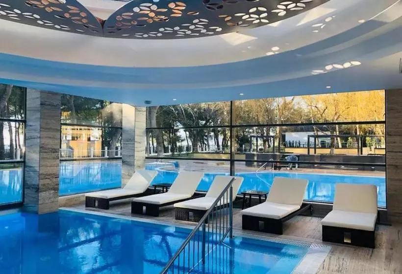 호텔 Primorie Grand Resort 5