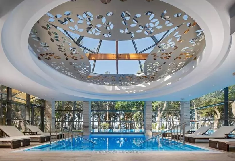 호텔 Primorie Grand Resort 5