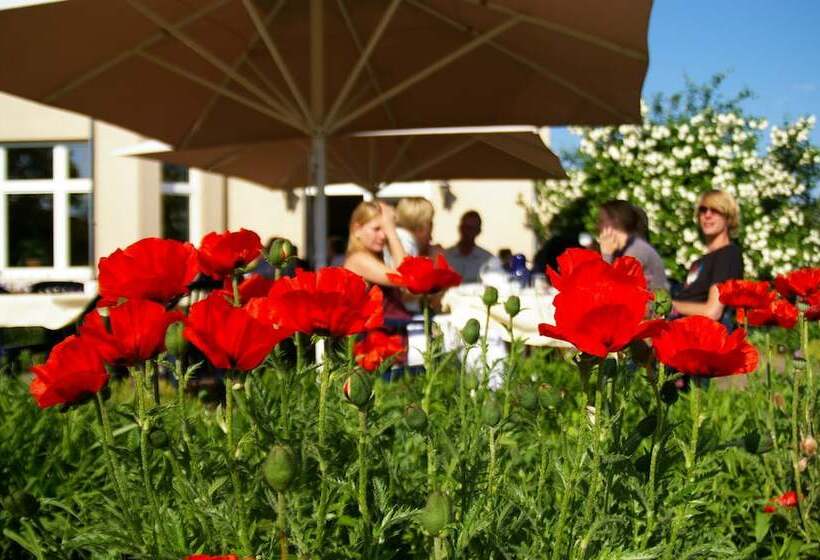 فندق Gutshaus Barkow