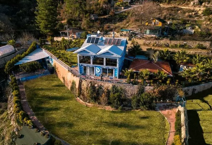 Dolphin Boutique Hotel & Restaurant