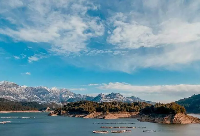 Dolphin Boutique Hotel & Restaurant