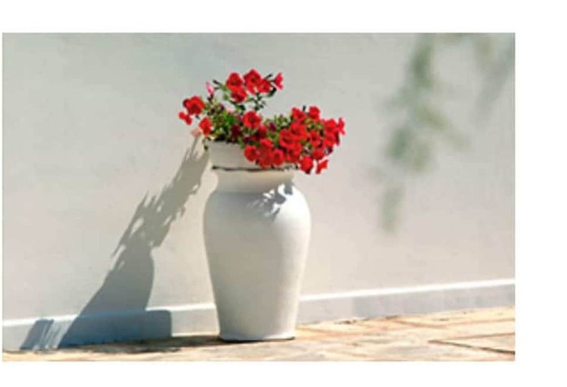 פנסיון Room In B&b   Spacious Quadruple Room In Ancient Masseria Near The Sea In A Quiet Olive Trees