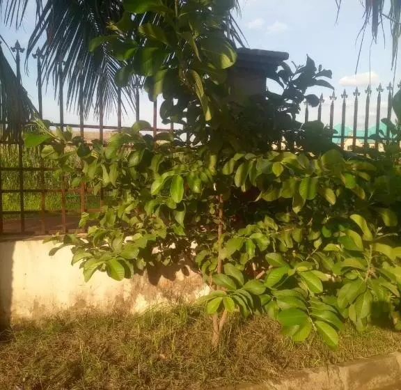 ペンション Temaya Cottage Lodge