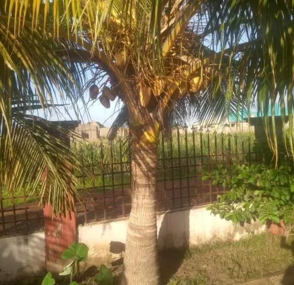 ペンション Temaya Cottage Lodge