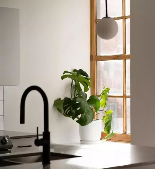 Maison Rasco By Luxury In Transit