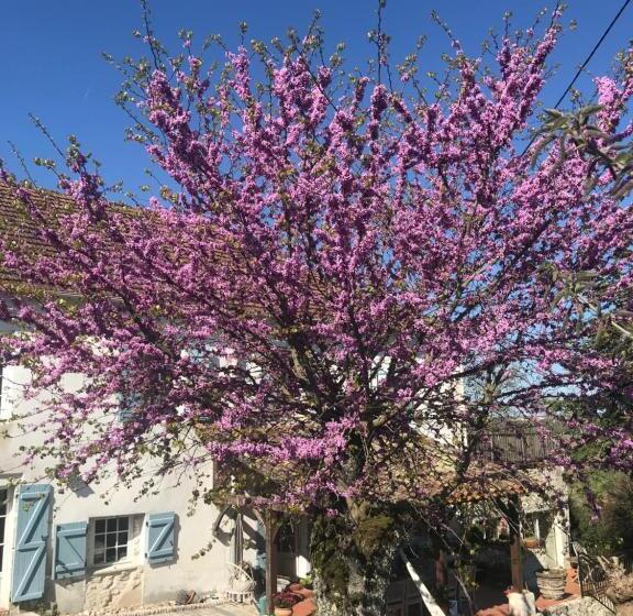 צימר Le Bouyssou