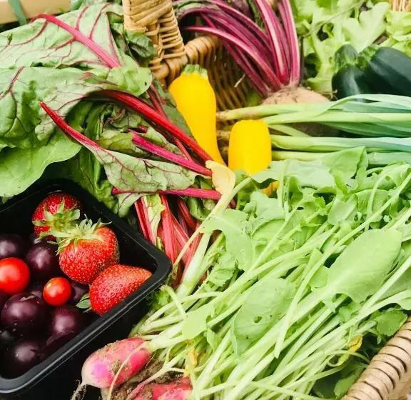 Aamiaismajoitus (B&B) Le Bouyssou