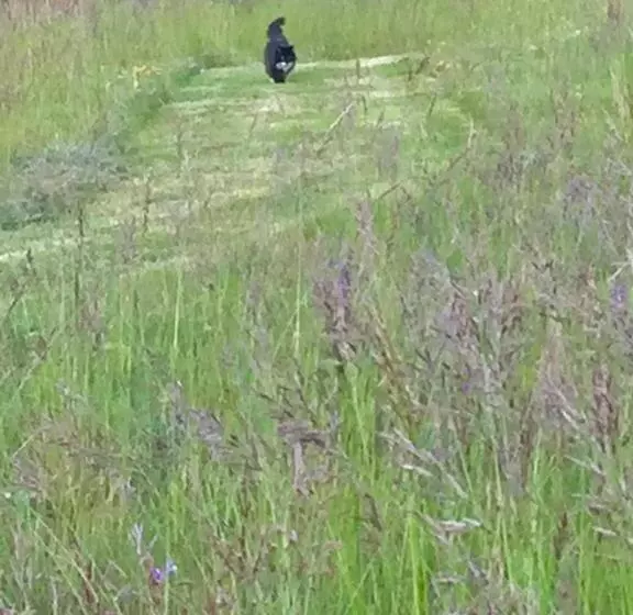 Aamiaismajoitus (B&B) Le Bouyssou